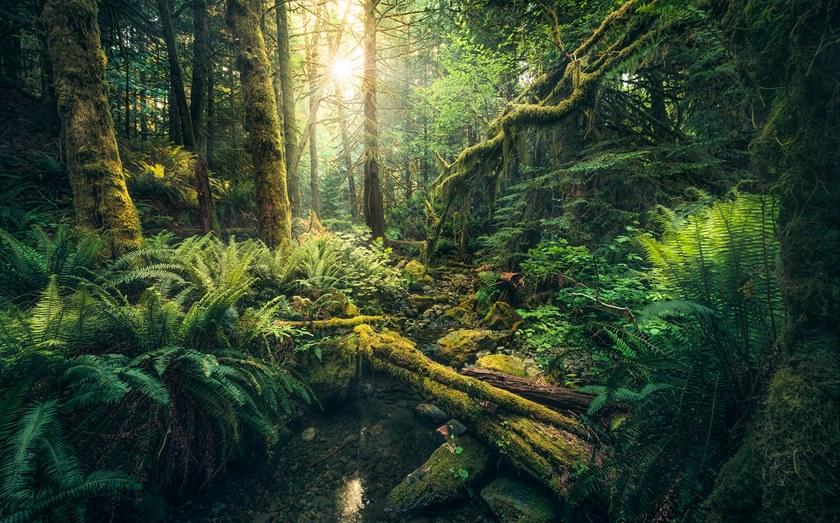 Komar Флизелиновые обои с пейзажами Wanderlust Shx9-028 - Вид №1