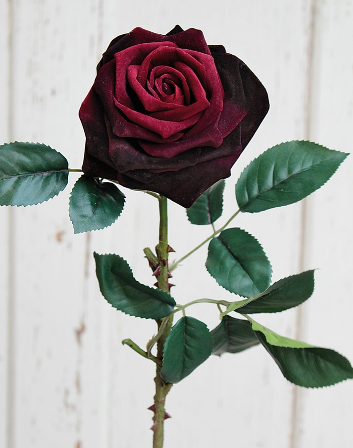3269 442 a3 Искусственная роза, бархат, 50 см, бордовый H-andreas  - Вид №1