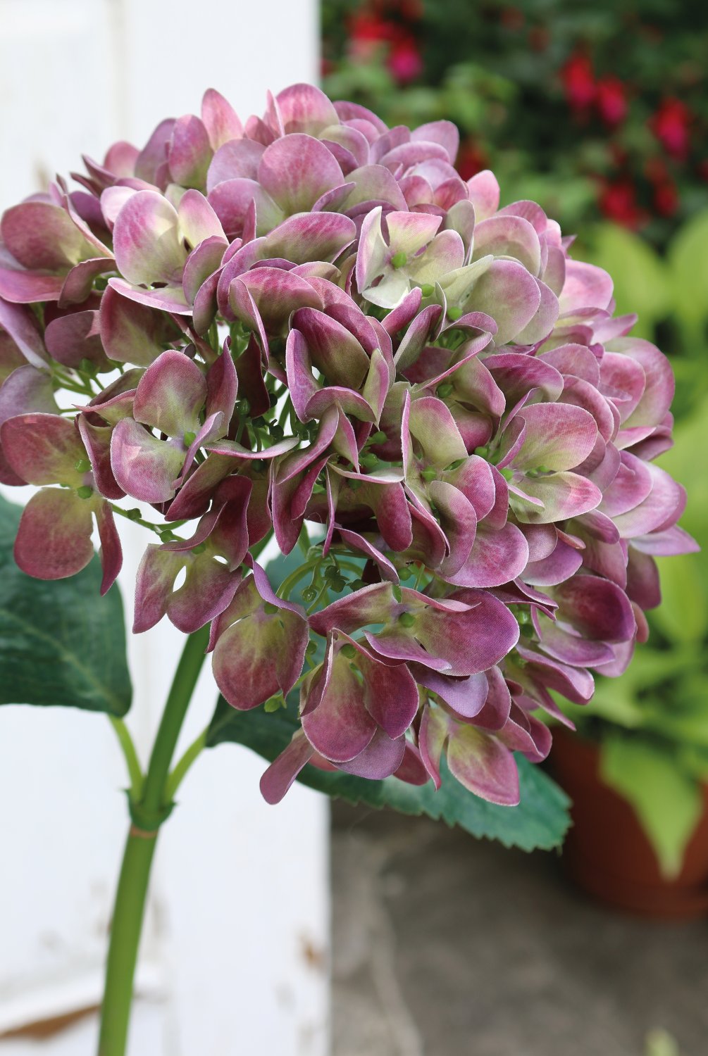 2270 208 a3 Гортензия пластиковая, 65 см, фиолетово-зеленая H-andreas  - Вид №3