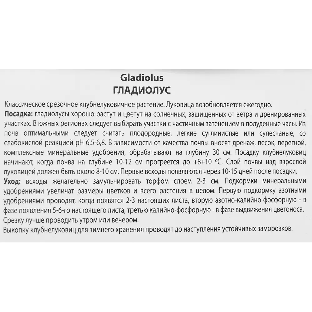 Гладиолус крупноцветковый Чимароза, 3 шт 86410019 STLM-2041079 ПОИСК  - Вид №2