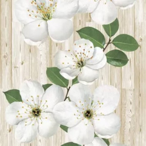 Панель ПВХ Яблоневый цвет Узор 644 2,6*0,25 STELLA Slim 5мм Premium (15) STSR-459