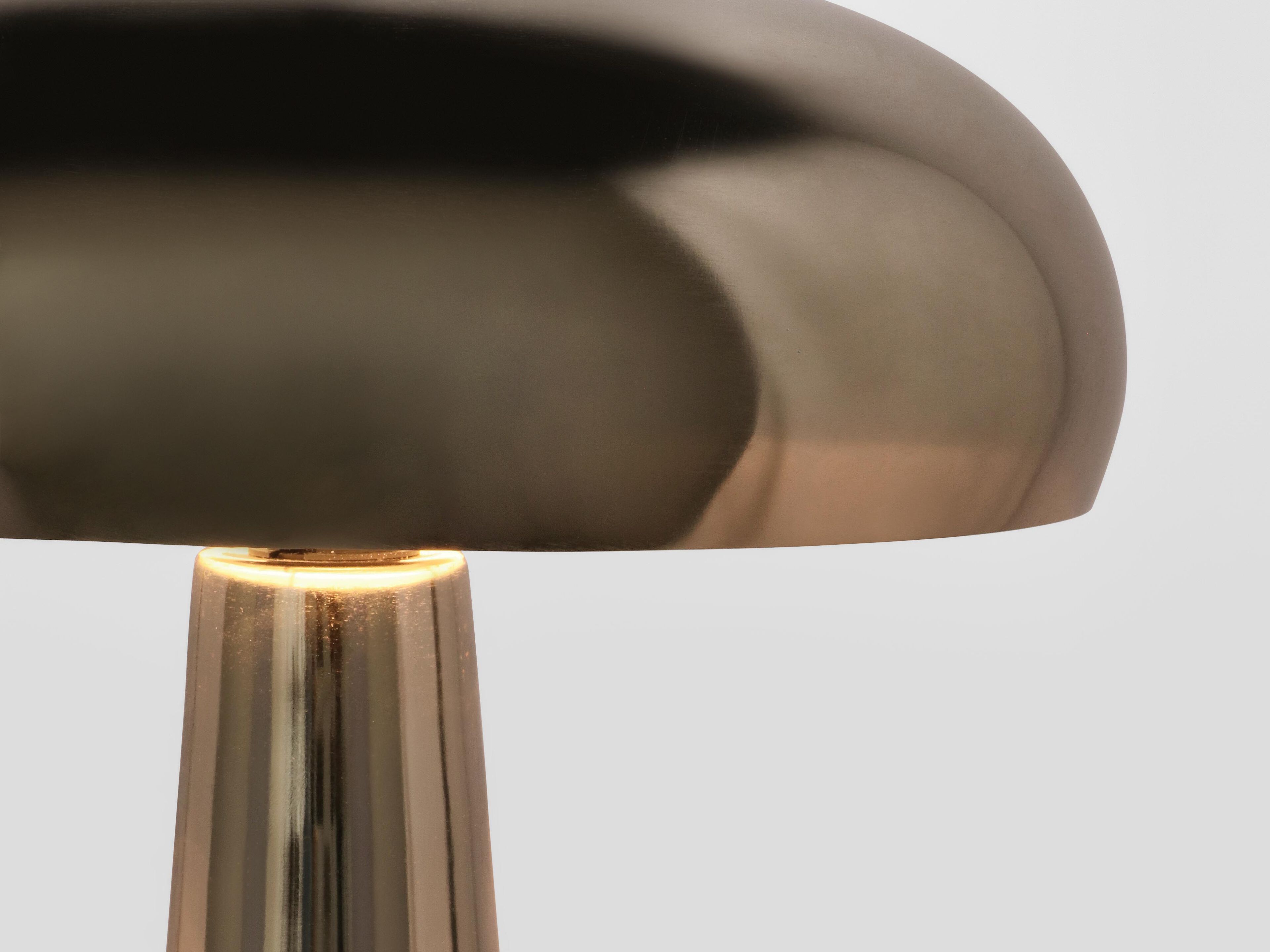 Металлическая настольная лампа BIZZOTTO HUVILA ARCH-00013906 - Вид №3