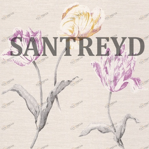 227603 Обои Aquarelle Jaipur