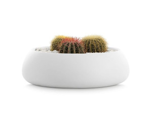 Круглый низкий плантатор