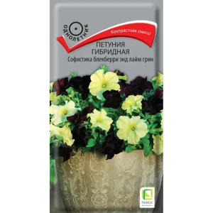 83577550 Петуния гибридная Софистика Блекберри 5 шт. STLM-0953450 STLM-0953450