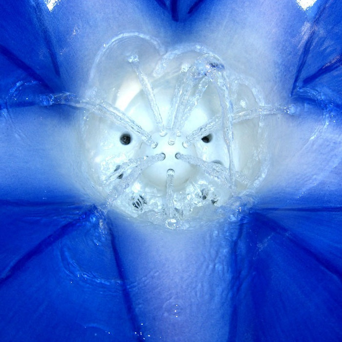 48680 Настенный писсуар, уринал с мушкой Clark Made Urinal - Вид №1