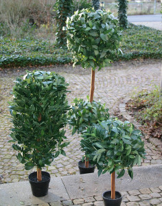 5009 883 a3 Искусственный лавровый шар, горшок, 170 см, зеленый H-andreas