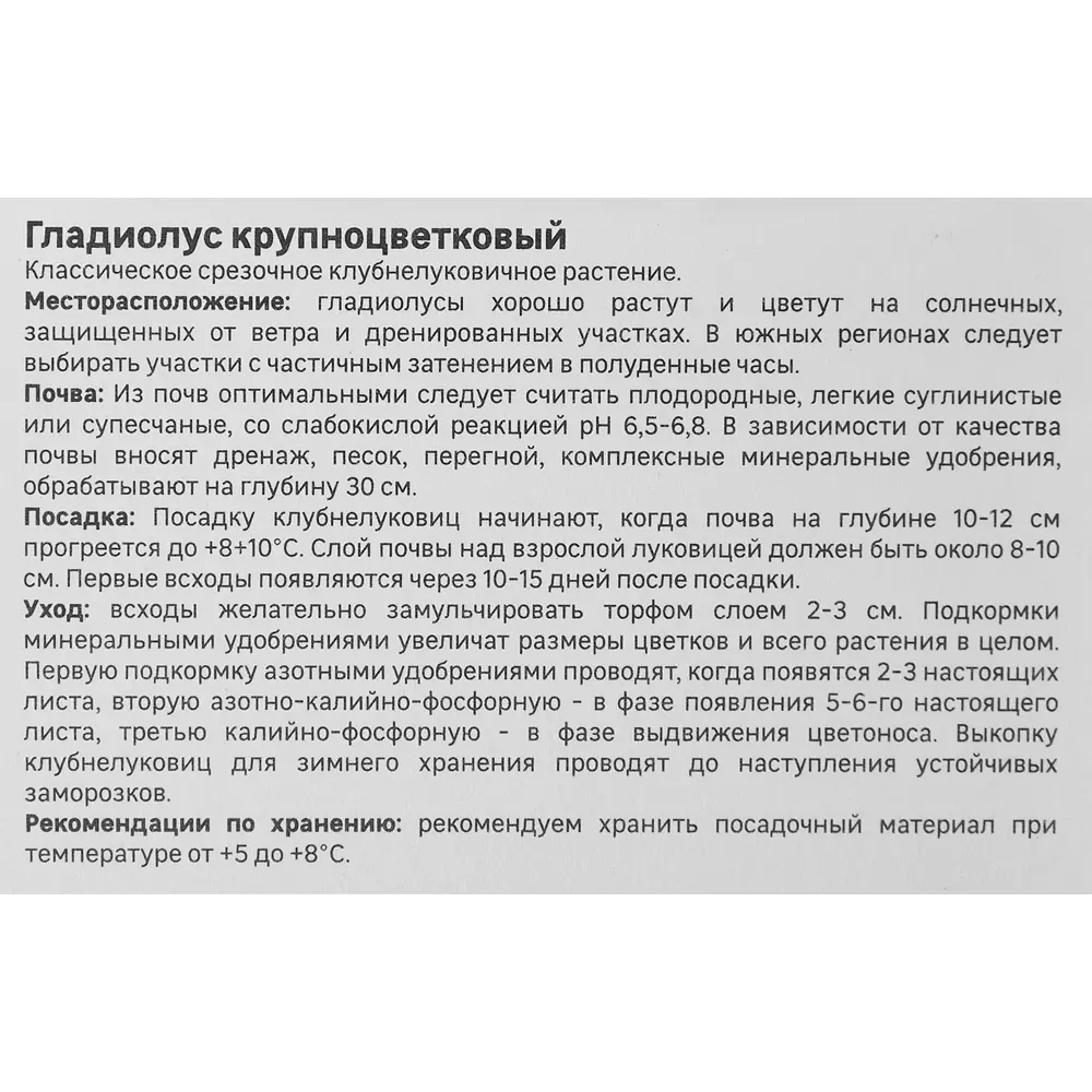 Гладиолус крупноцветковый Бельведер Geolia 3 шт 86408543 STLM-2180090  - Вид №2