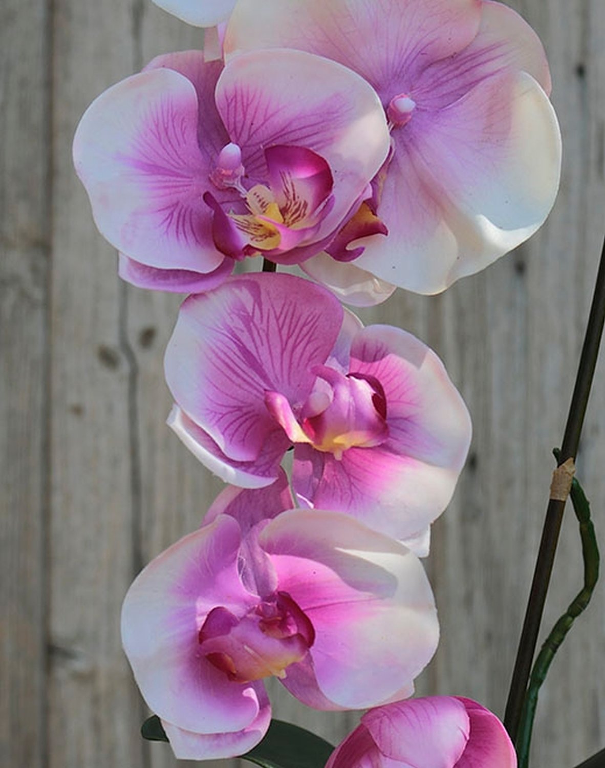 2526 220 a2 Искусственная орхидея Phalaenopsis, 73 см, real touch, светло-фиолетовый H-andreas  - Вид №3