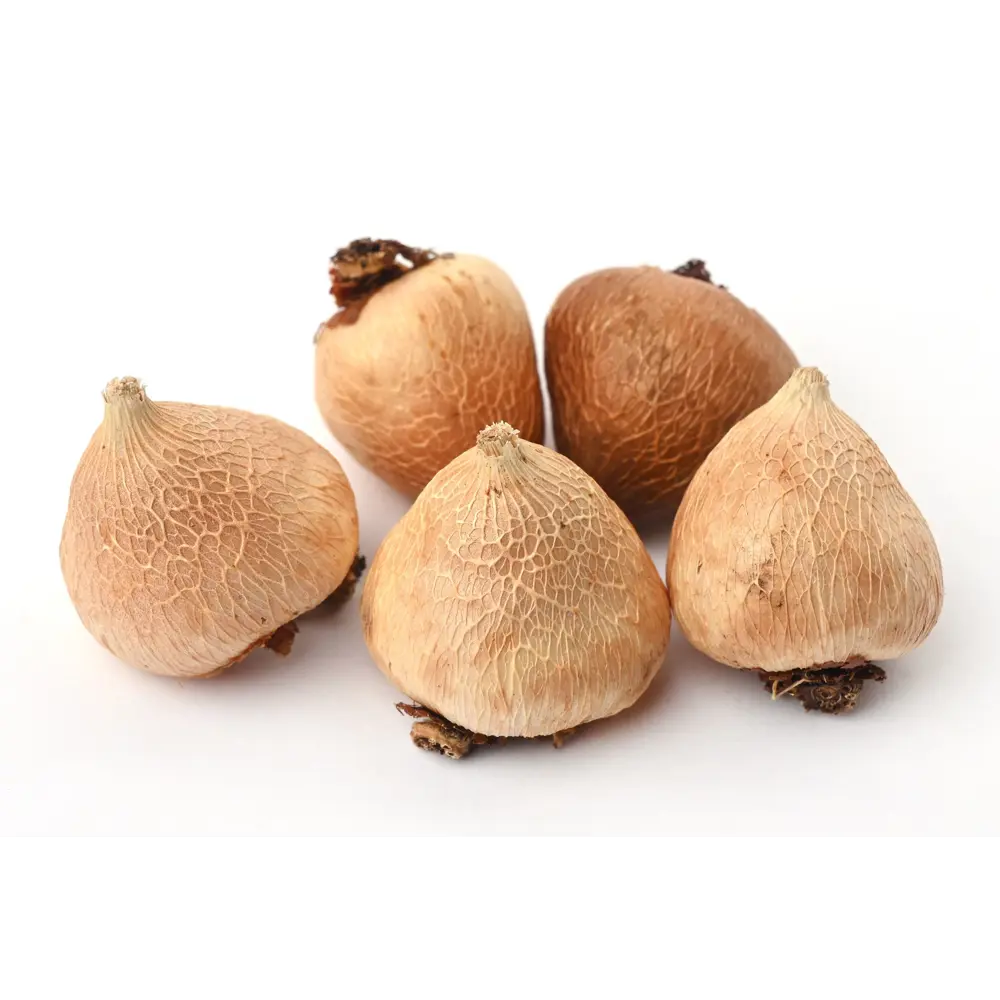 Ацидантера Geolia двухцветная Вайт 5 шт STLM-2181949 - Вид №2