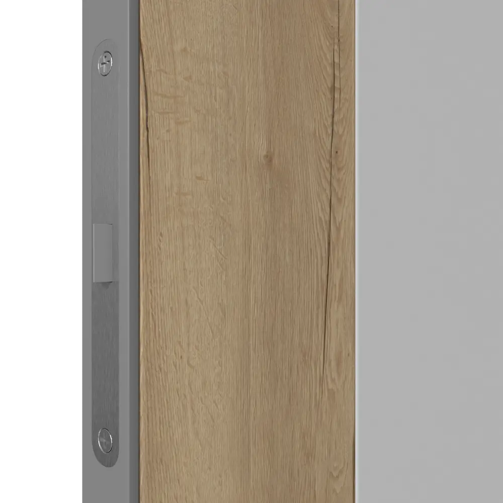VFD Палладиум VR - межкомнатная дверь 90x200 см в стиле контрастов 84506016 STLM-1442931 - Вид №3