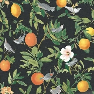 105642 Обои Graham&Brown Curiosity