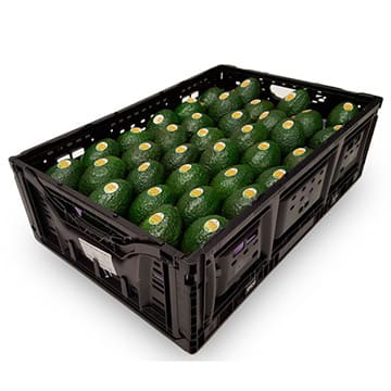 Авокадо в ящике ~4 кг Santreyd 31030