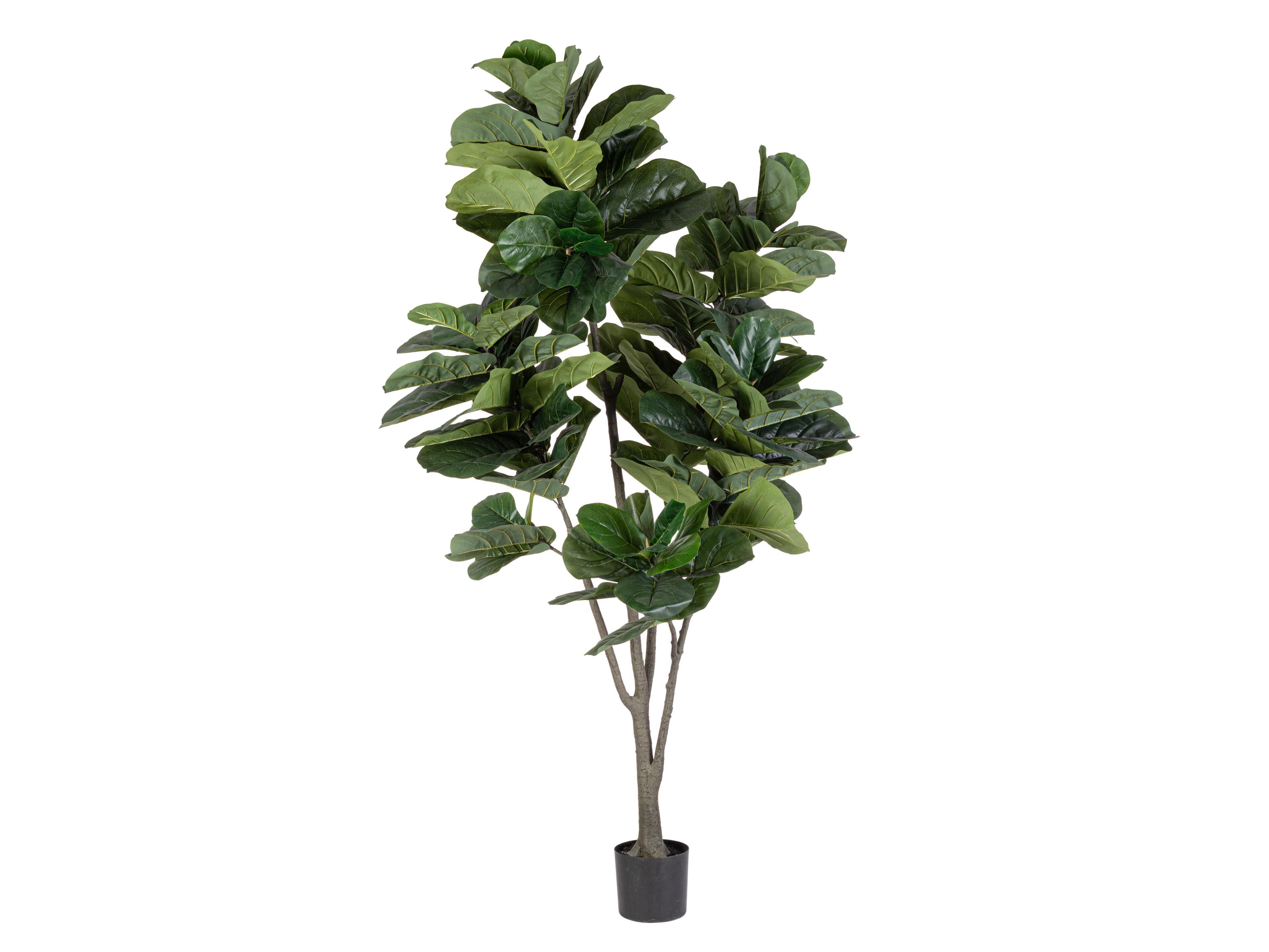 Искусственное растение BIZZOTTO FICUS LYRATA H230 ARCH-00134143