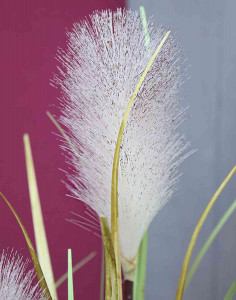 4455 860 a3 Пластиковая пампасная трава, горшечная, 55 см, зелено-коричневая H-andreas