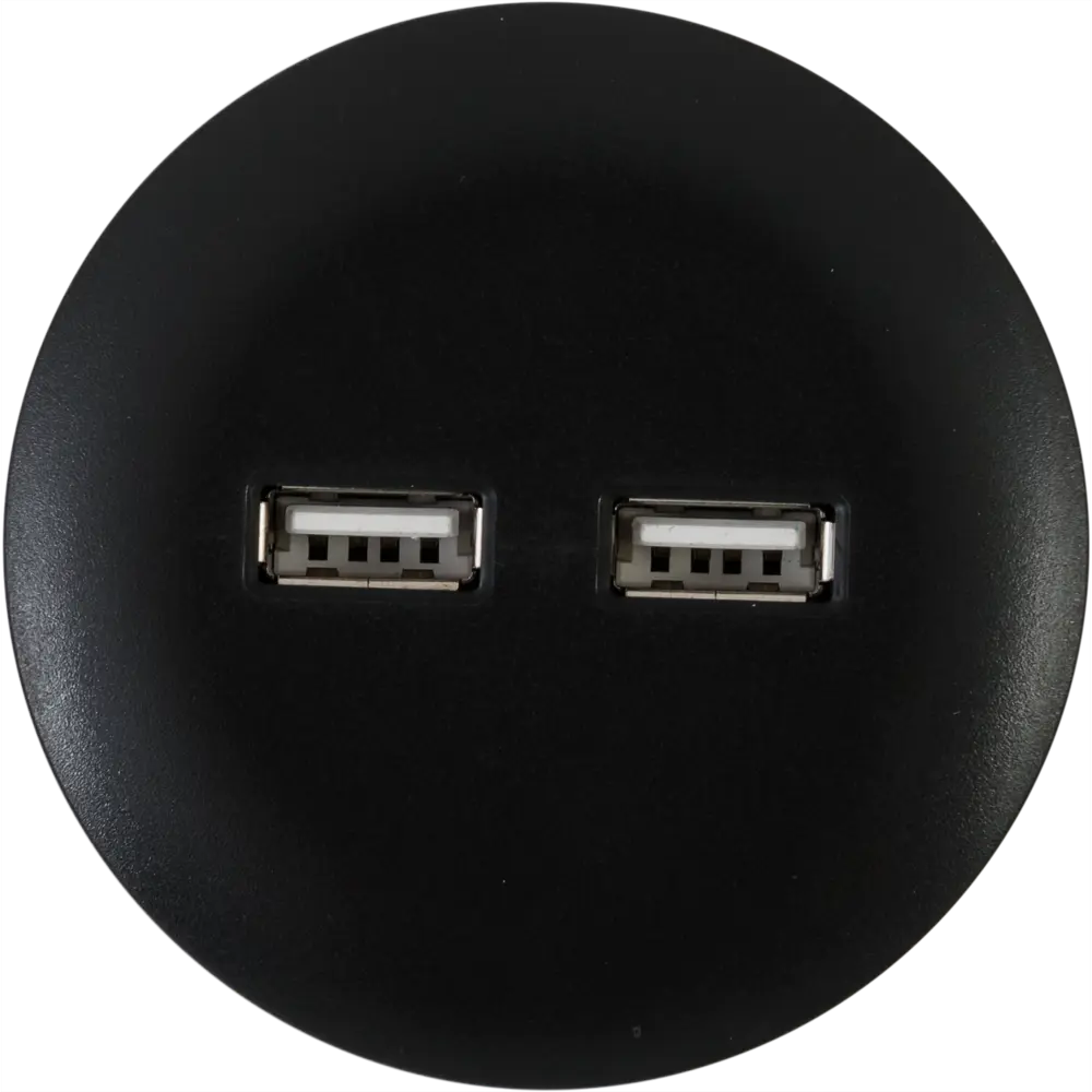 Розетка для трека 2 USB 2.1 цвет чёрный SKYBEAM STLM-2076562
