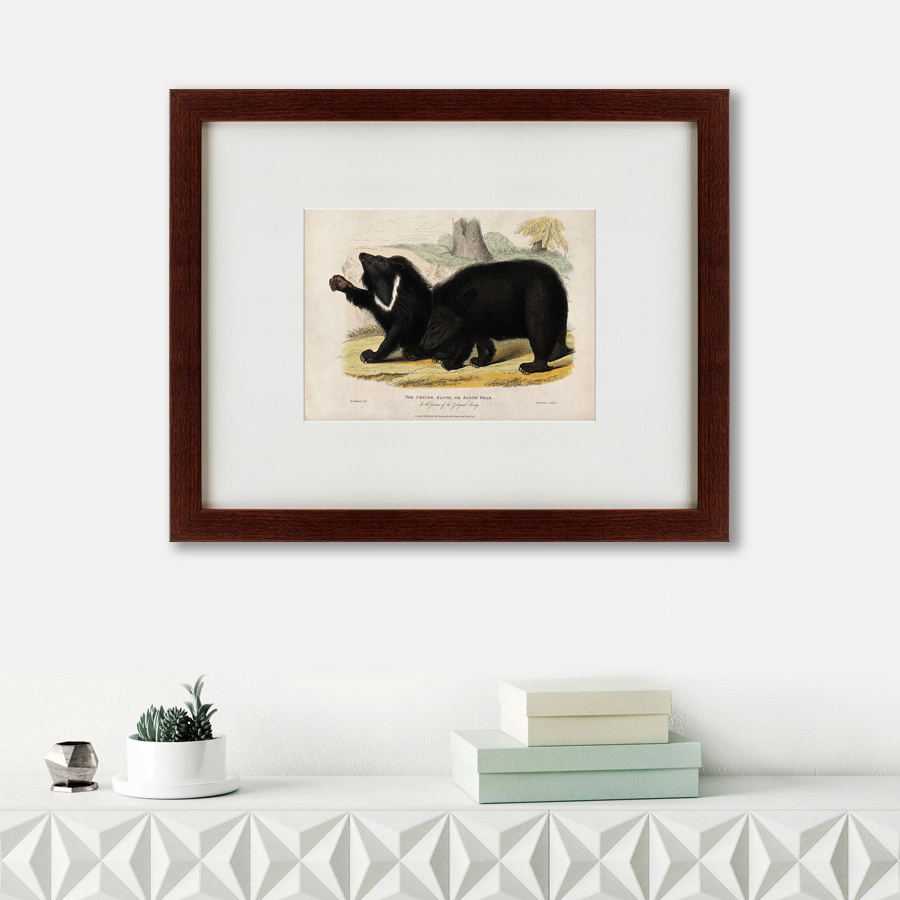 Литография на тонированной бумаге 42х52 см Two ursine sloths, or sloth bears, 1830 КАРТИНЫ В КВАРТИРУ  135636 Бежевый;белый;черный;разноцветный  - Вид №1