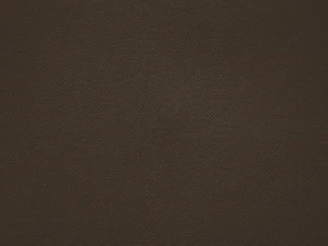 COLORISTICA 2211-82 Портьерная ткань  Лён  Shamrock