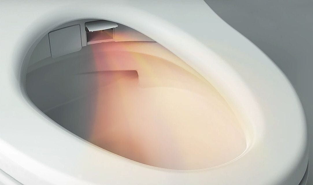 Керамический подвесной туалет биде с ручным душем TOTO Washlet® ARCH-00032800 - Вид №13