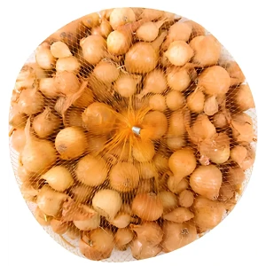 89389745 Лук-севок озимый Ледокол луковицы 15 мм 0.45 кг STLM-1450815