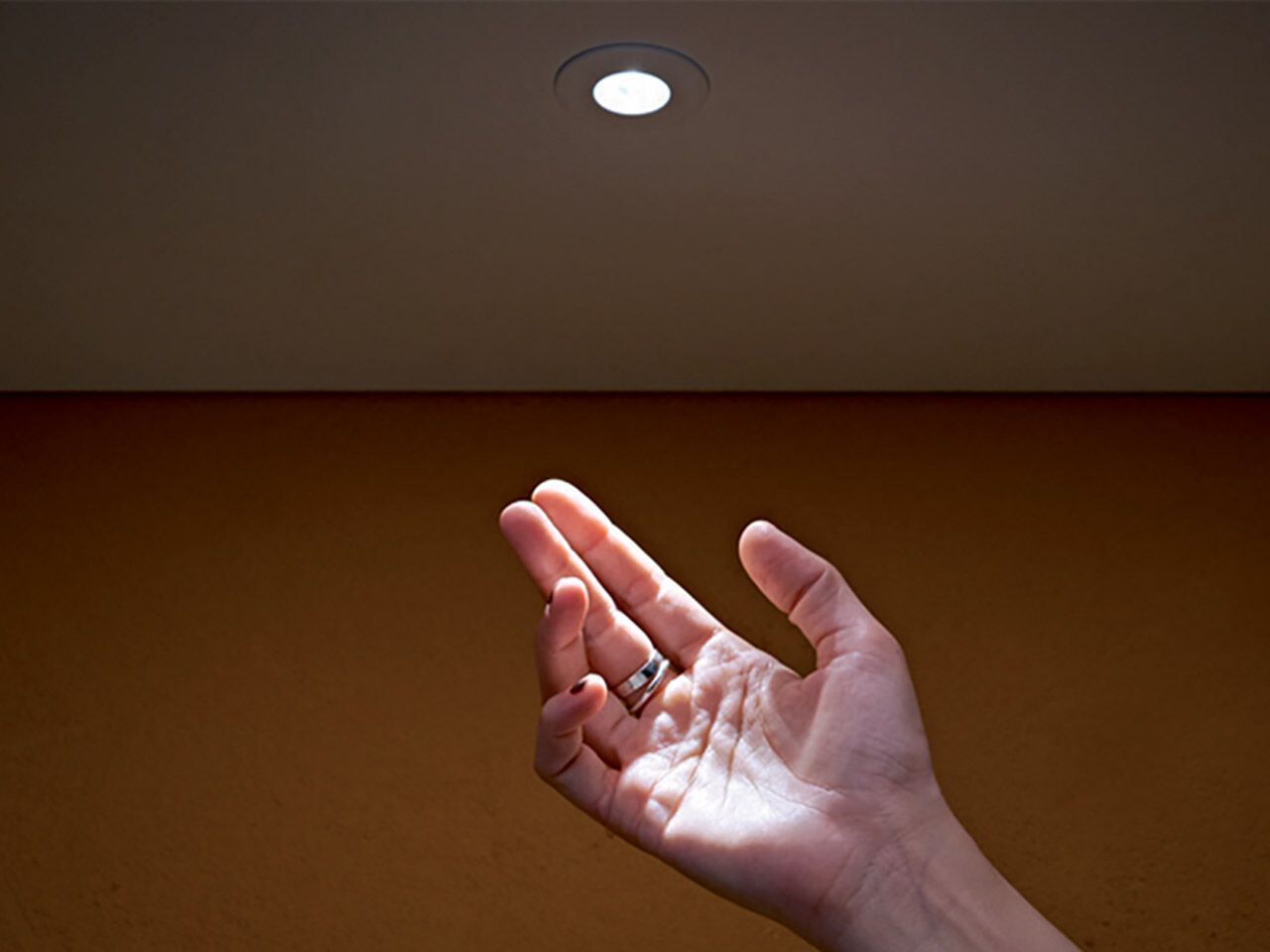 Утопленный светодиодный прожектор Flexalighting WOLF ARCH-00088858