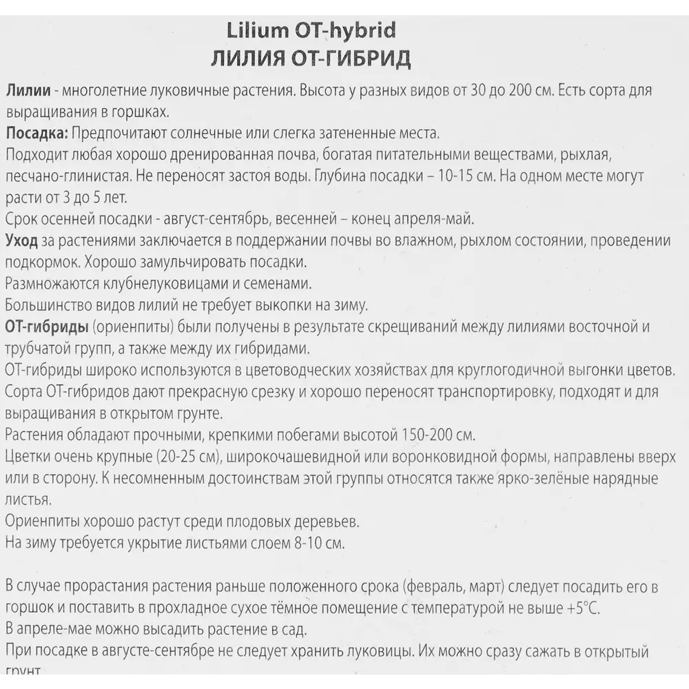 Лилия ОТ-гибрид Алтари ПОИСК STLM-2106047 - Вид №2