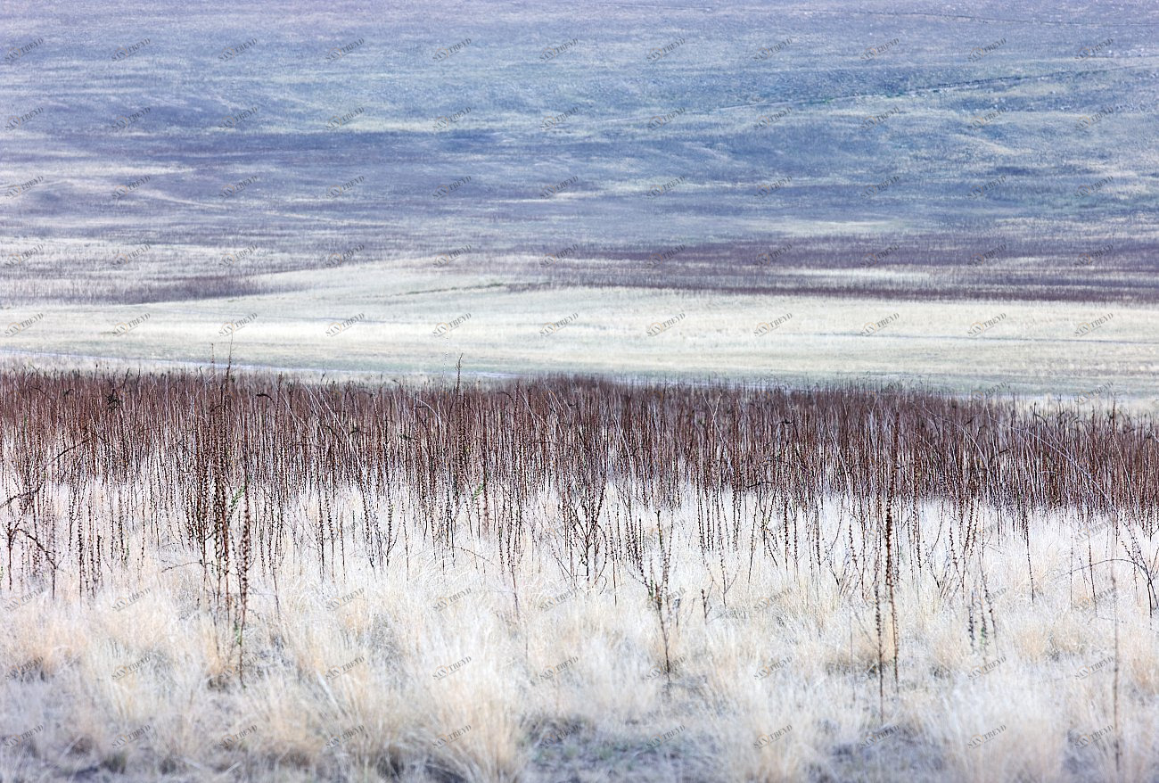 Панно на стену пластификация 90х60 см "180°" PANKOVSKY STUDIO ПЛАСТИФИКАЦИЯ 015885 Белый;голубой;разноцветный 