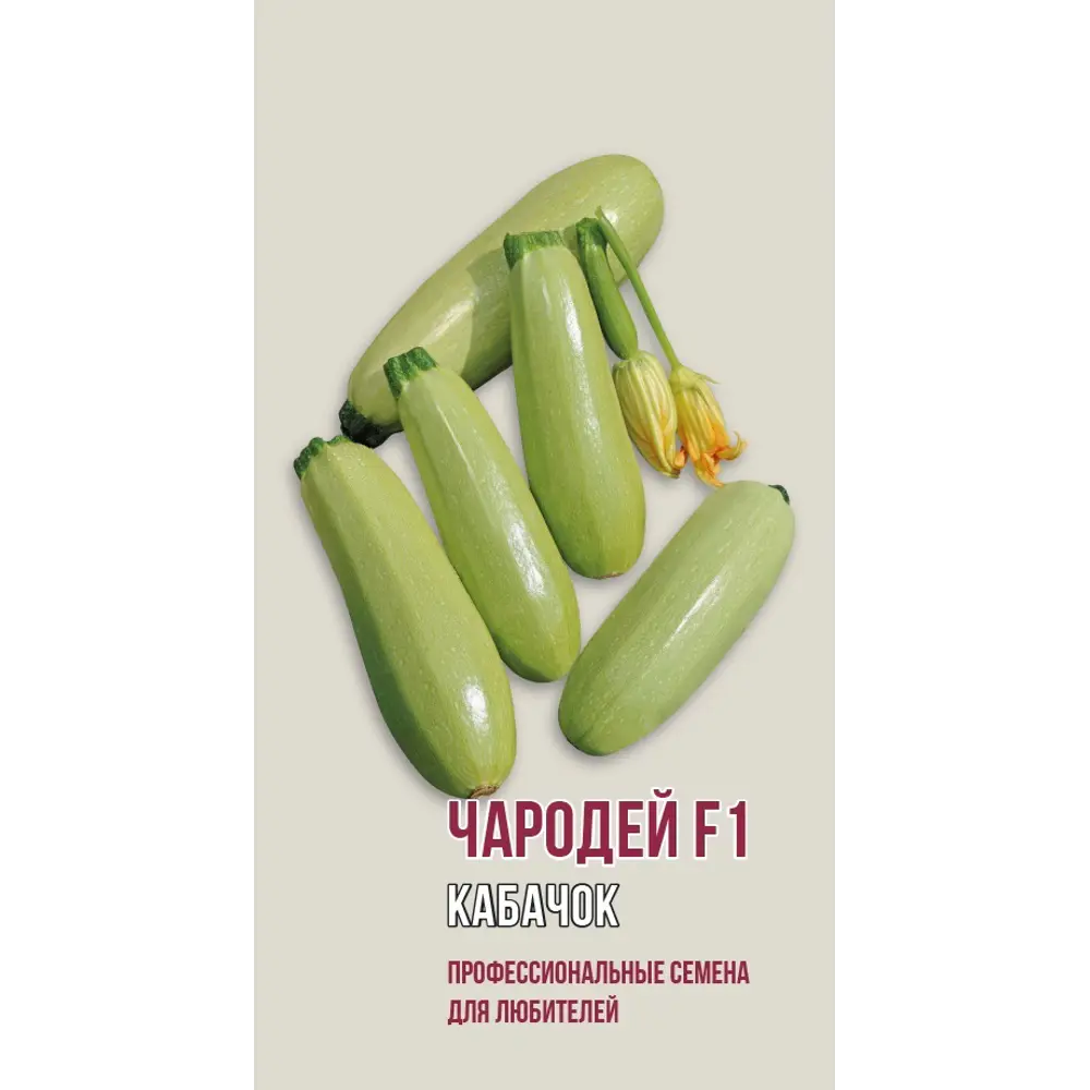 Семена кабачка Чародей F1 AGRONI - среднеранний гибрид 89400814 STLM-1569137