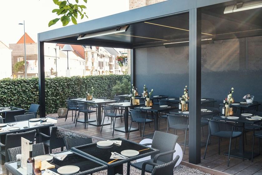 emu Darwin  522  - Вид №15