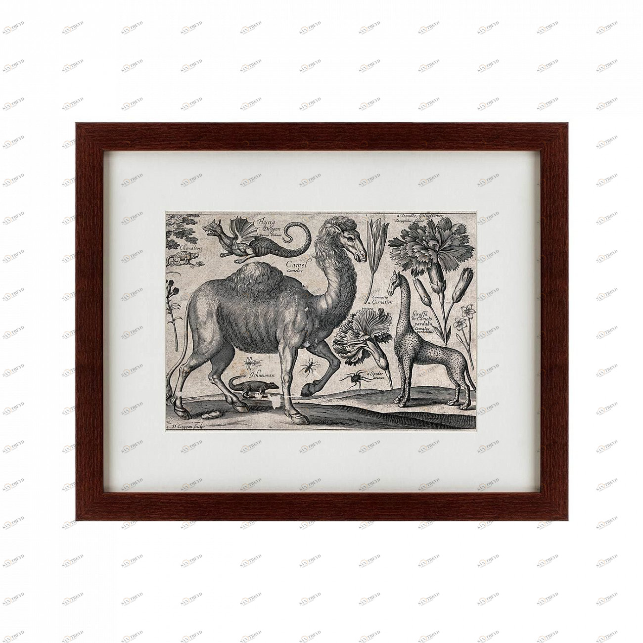 Литография на тонированной бумаге 42х52 см A camel, 1670 КАРТИНЫ В КВАРТИРУ  135679 Бежевый;белый;черный;разноцветный 