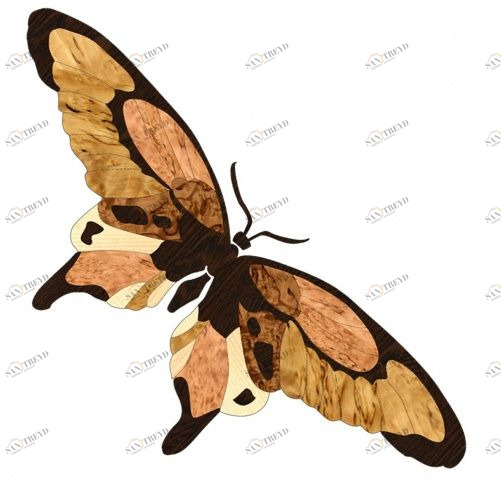 Художественный паркет Da Vinci Паркетный Декор 26-032 Дуб Селект (Гладкая) 500х500 мм 26012032