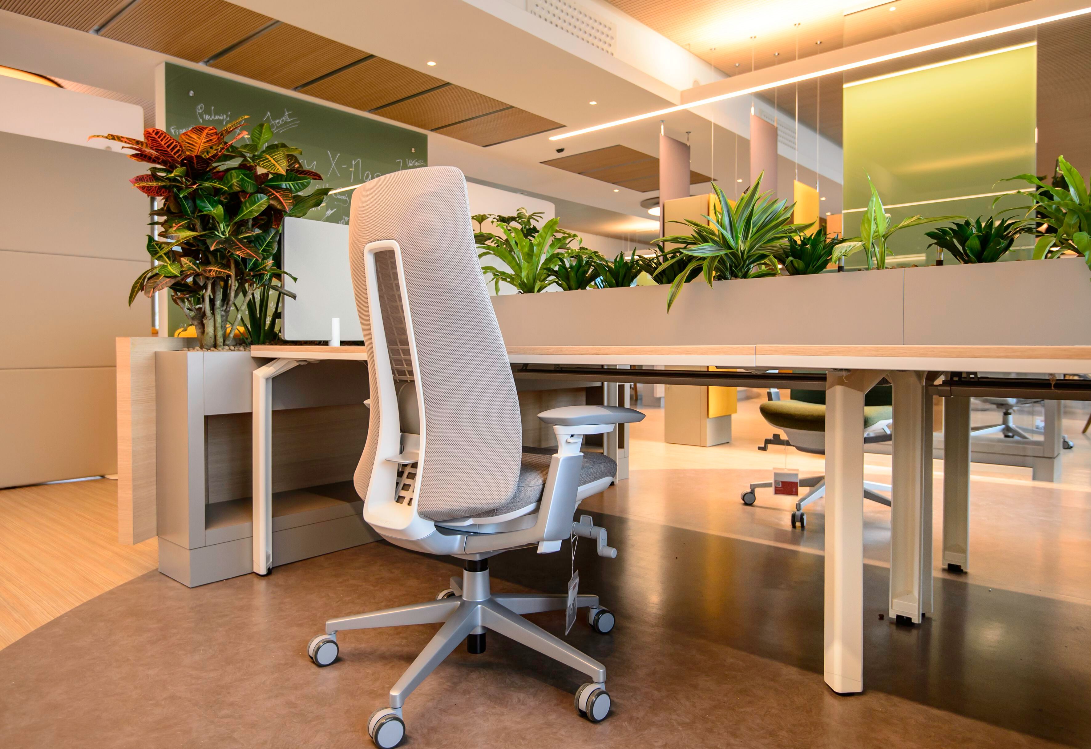 Деревянная прямоугольная рабочая станция с разделительными панелями Haworth Epure ARCH-00008587 - Вид №2