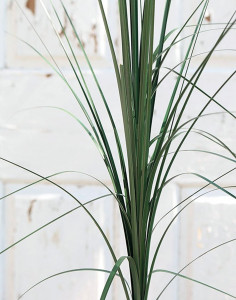 4851 888 a2 Искусственная китайская серебристая трава, 96 см, темно-зеленая H-andreas