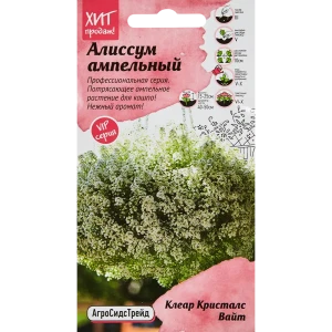 АГРОСИДСТРЕЙД Алиссум Клеар Кристалс Вайт - белоснежный цветочный ковер 89347835