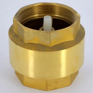 Клапан обратный пружинный EURA EXPORT с пластиковым затвором F.I.V. 2"1/2