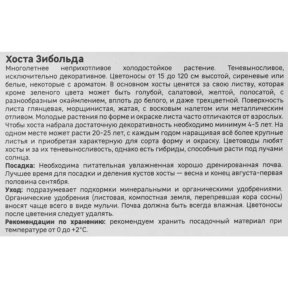 Хоста Зибольда Фрэнсиз Вилльямс 86408596 STLM-2117394 Santreyd  - Вид №3