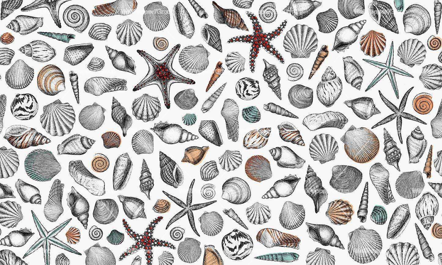 Тропические обои ПВХ бесплатно, ЭКО, моющиеся WallPepper Online SELECTION ARCH-00150626 - Вид №2