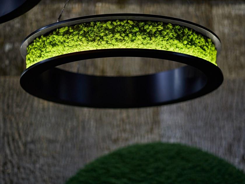 Freund GmbH Подвесной светильник с мхом sun-id-1504565 - Вид №1