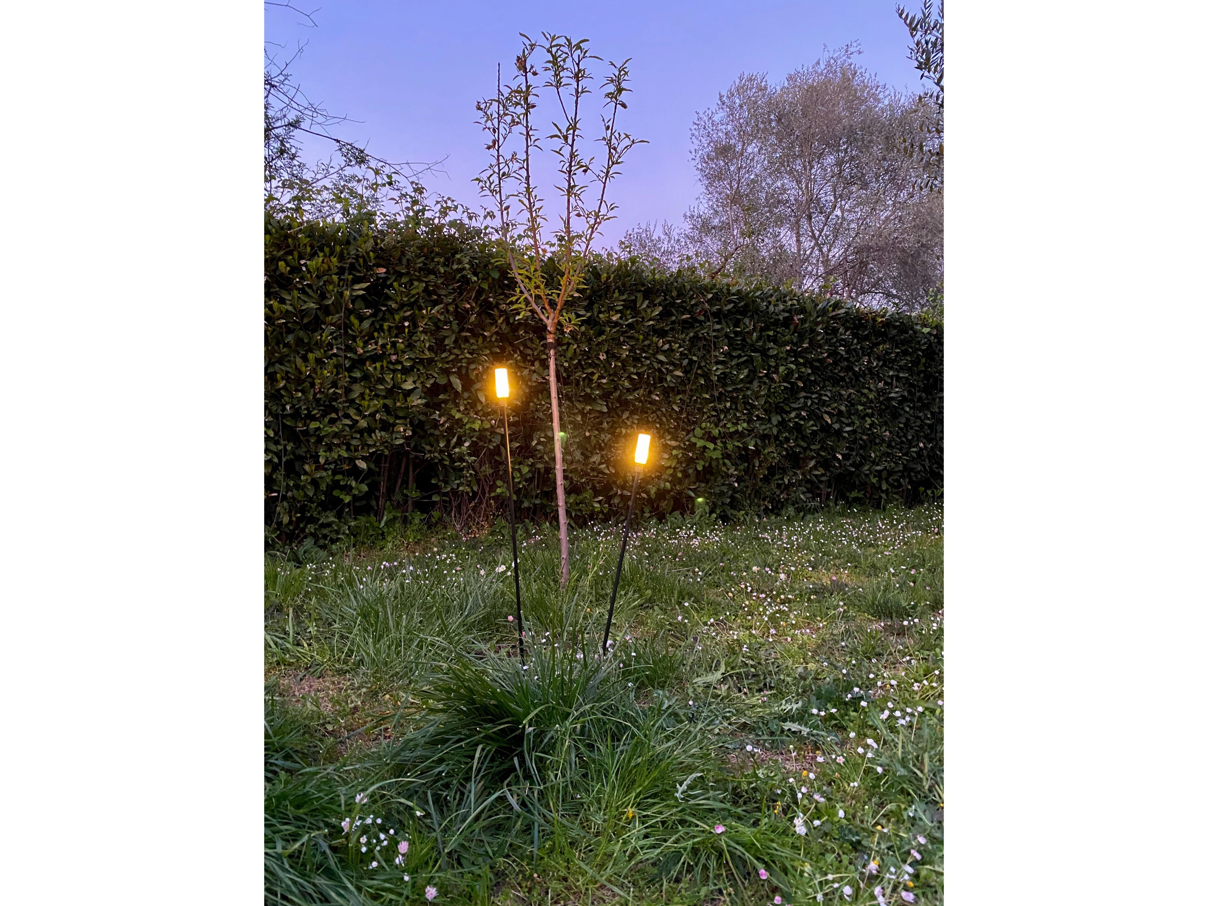 Напольный напольный светильник Сид Renzo Serafini Факел ARCH-00093005 - Вид №2