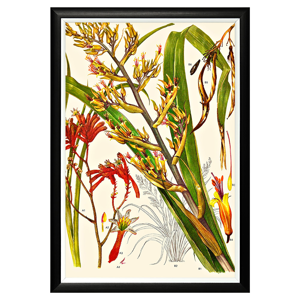 896519658_1818 Арт-постер «Цветочная энциклопедия, глава 12» Object Desire 