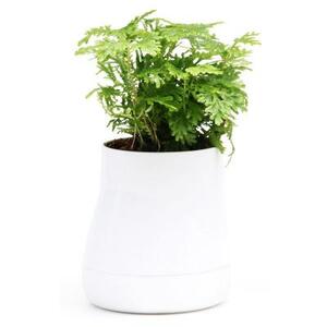 Горшок цветочный Hill Pot, большой, белый