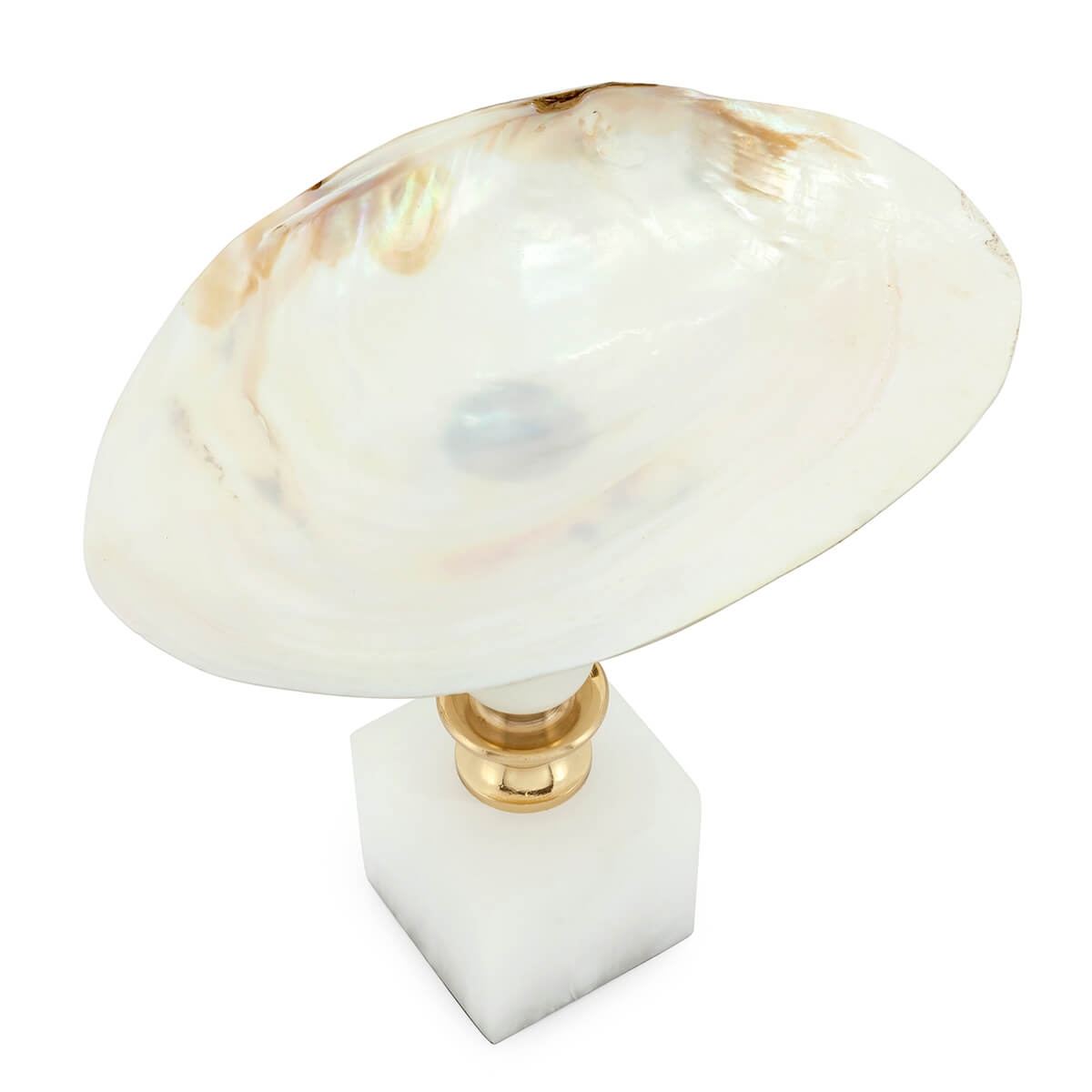 600729-00 ABHIKA ТАРЕЛКА KRIZIA SHELL NATURAL  - Вид №1