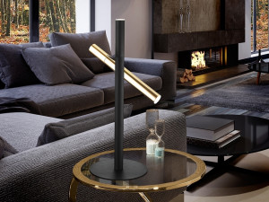 087839 Настольная лампа 2L золото черный Schuller Varas