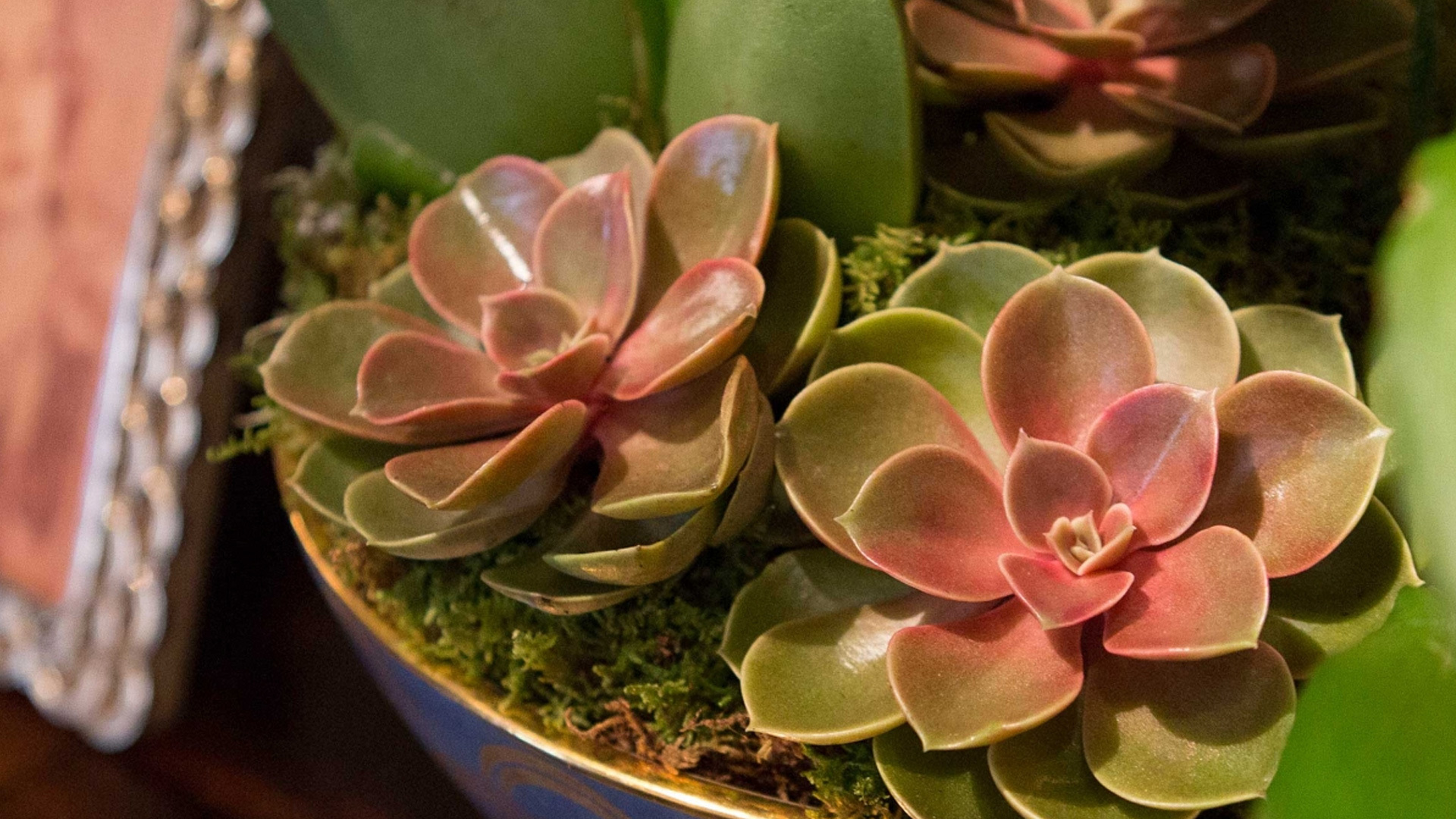 10583624 L’Objet Салатник 32х15см "Фортуни.Венеция" Фарфор  - Вид №1