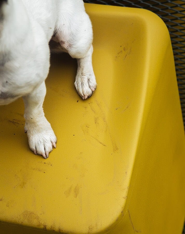 Экологически чистый полиуретановый стул с огнестойкой прокладкой Bõln Sarek ARCH-00010034 - Вид №11