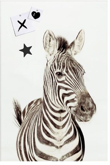 Groovy Magnets Магнитный плакат Animal Pos-62-z - Вид №2