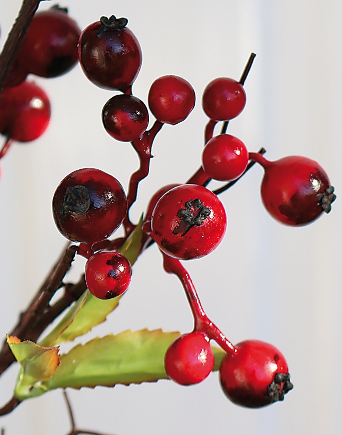 1582 444 a3 Стебель искусственной ягоды, 70 см, красный H-andreas  - Вид №2