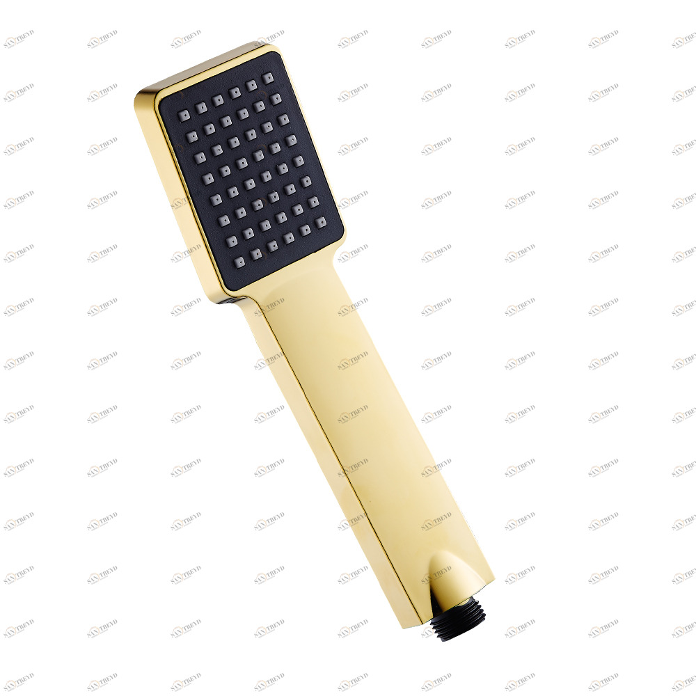 Лейка для душа Raiber RHBG18 RHBG18 Santreyd 