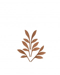 Выходит на диффузор. Аххх Алесси Пять сезонов