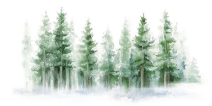 Панорамные обои для детей